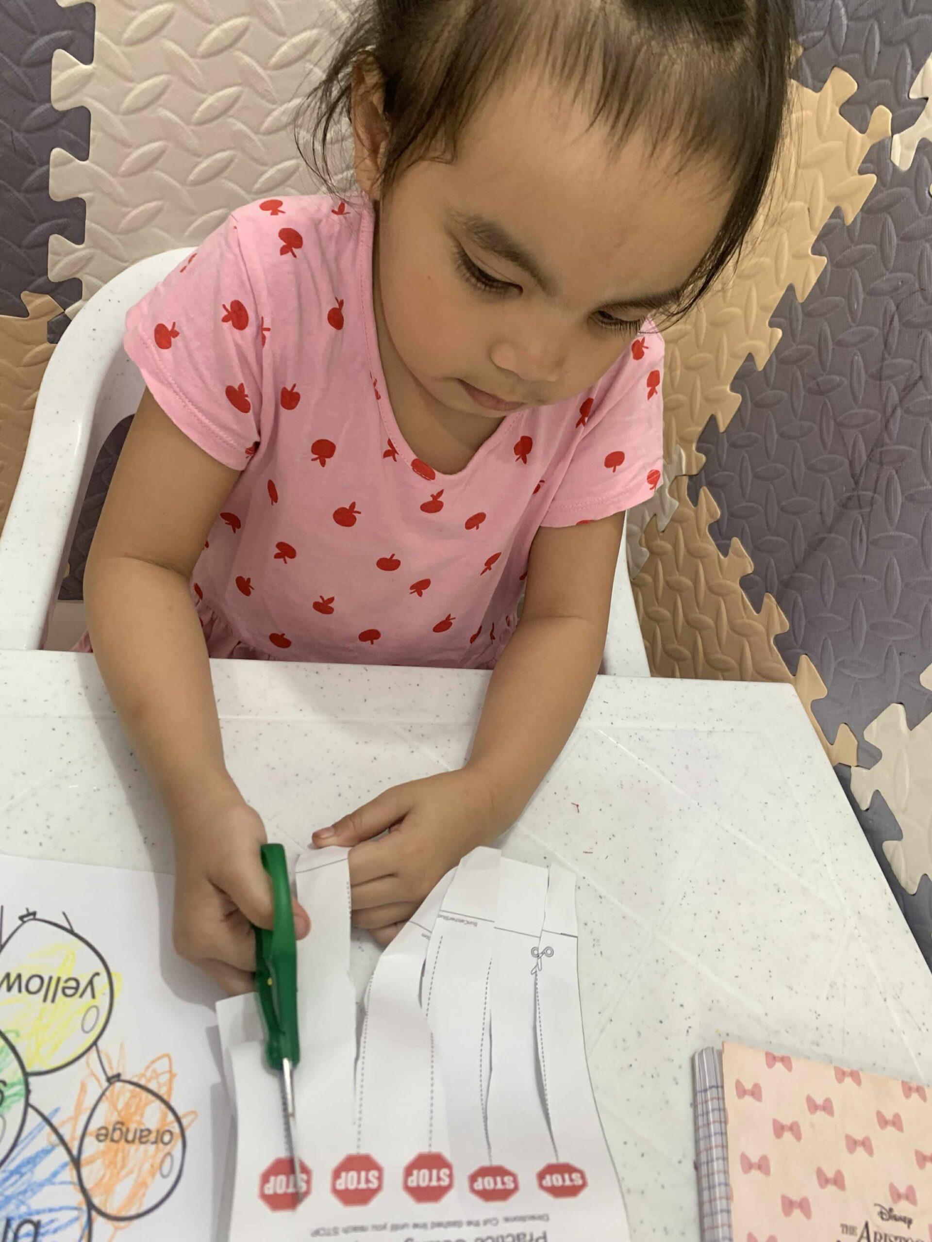 523379905_1299208378214923_742693246382693383_n