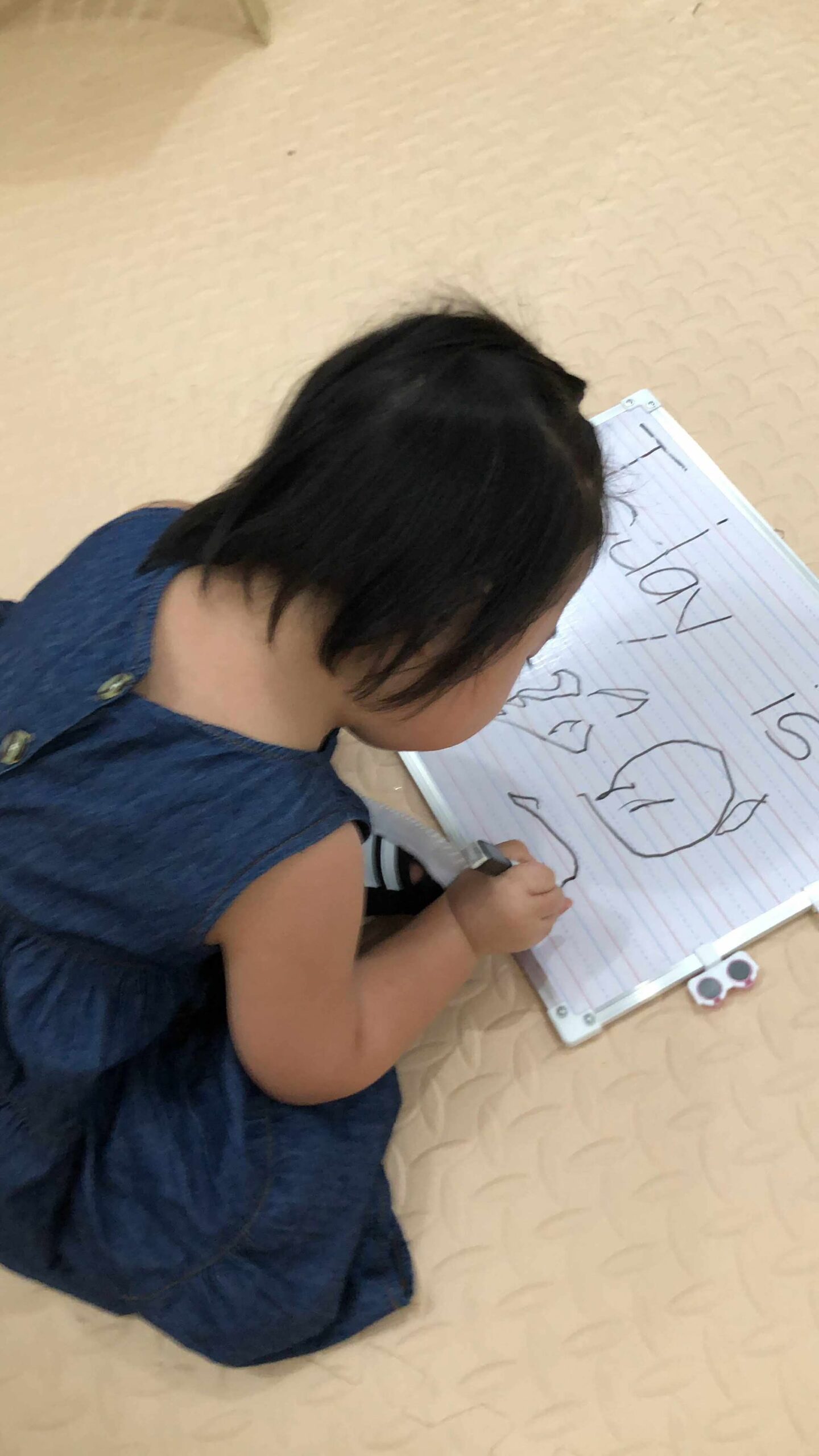 cad8a086f736de8eebb8527de5b32ad3